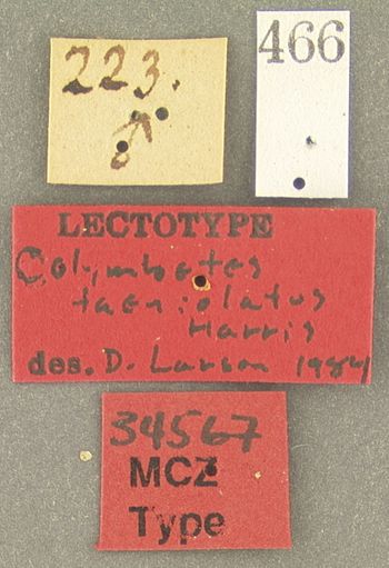 Media type: image; Entomology 34567   Aspect: labels